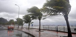 Küləkli hava şəraiti ilə bağlı sarı XƏBƏRDARLIQ