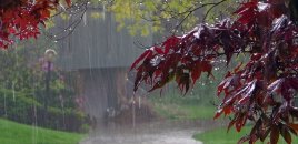 Hava ilə bağlı xəbərdarlıq - Leysan yağacaq, şimşək çaxacaq