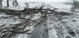 CAR-da əlverişsiz hava səbəbindən 49 nəfər ölüb