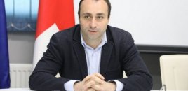 Gürcüstanın daxili işlər naziri Azərbaycana gəlib