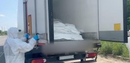 Təhlükəsizlik Xidməti: Ukrayna cəsədlərin mübadiləsi formatını dəyişir