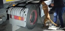 Türkiyədə ƏMƏLİYYAT: 18 kilo narkotik ələ keçirildi
