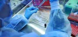 Çində iki yeni ölümcül virus aşkarlanıb