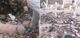 Yeni doğulan körpəsini parçalayaraq zibil qutusuna atan ana həbs edildi