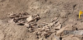 Ağdamda insan skeletinə bənzər sümük fraqmentləri aşkar edilib