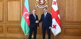 Ceyhun Bayramov Gürcüstan Prezidenti ilə görüşdü