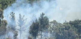 ETSN: ani ehtiyatsızlıq qarşısıalınmaz yanğınlara səbəb ola bilər
