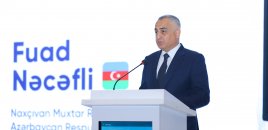 Fuad Nəcəfli: Muxtar respublikada son iki il ərzində 6 yeni yataq kəşf edilib