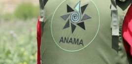 ANAMA azad edilmiş ərazilərdəki yanğınlarla bağlı vətəndaşlara çağırış edib