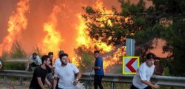 Türkiyədə meşə yanğını səbəbindən 2 minə yaxın insan təxliyə edilib