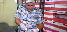 103,3 kq narkotik aşkarlandı - FOTOLAR