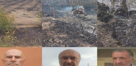 Qubada yanğın törədənlərdən biri həbs olunub, ikisi cərimələnib