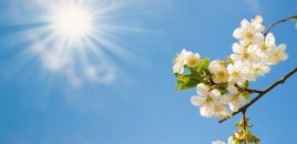 İsti hava şəraiti davam edir - FAKTİKİ HAVA