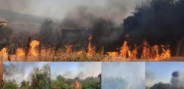 Xocalıda yanğına səbəb olan şəxs saxlanılıb