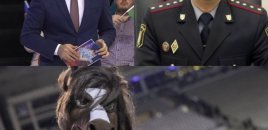 Azərbaycanda idman polisi yaradılmalıdır? - "Qarabağ"ın maskotu "Kəhər" müzakirə yaratdı