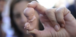 Azərbaycanda abortların sayı sürətlə artır – Bunun qarşısını necə alaq?