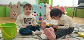 Bağça müdiri olmaq istəyənlərin nəzərinə