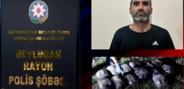 Beyləqanda 16 kiloqram marixuana və həşiş aşkarlanıb