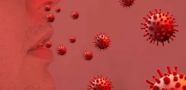 Fransada yeni virus bu şəhəri iflic etdi - 8 nəfər yoluxdu
