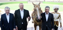 İlham Əliyevə “Axaltəkə” atı hədiyyə edildi