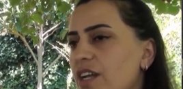 Qaxda xadimə işləyən qadın 37 yaşında tələbə oldu - VİDEO