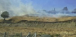 Şabranda əkin sahəsini yandıran şəxs 400 manat cərimələnib