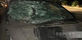 Abşeronda "Honda" piyadanı vurub öldürdü