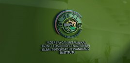 Bu İnstitutun adı dəyişdirildi