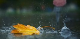 Yağıntılı və küləkli hava şəraiti davam edir- FAKTİKİ HAVA 