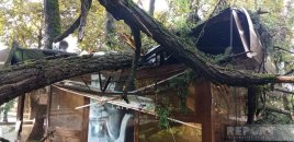 İsmayıllıda güclü külək ağacı kafenin üzərinə aşırıb