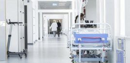 Şəkidə qoz ağacından yıxılan 65 yaşlı kişi ölüb