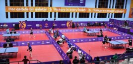 Azərbaycanın stolüstü tennisçiləri finala yüksəlib