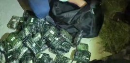Özbəkistanda 111 kiloqram narkotik vasitə müsadirə edib