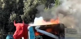 "Gənclər" parkında yanğın olub - VİDEO