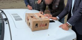 Neftçala rayonu ərazisində ov qaydalarını pozan şəxs saxlanıldı - FOTO