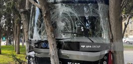 "Bakubus" Bulvara girdi, ağacları aşırtdı - VİDEO