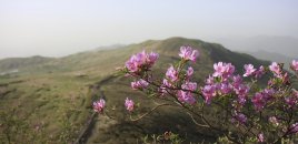 Martda hava necə olacaq?