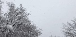 Martın ilk gününün havası