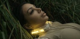 Dünyada viral olan pinqvinə mahnı həsr etdi - Video