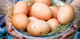 Əsl və saxta yumurtalar bir-birindən necə fərqlənir? - VİDEO