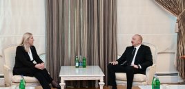 Prezident Bosniya və Herseqovina Rəyasət Heyətinin üzvü ilə görüşdü