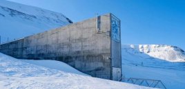 "Qiyamət anbarı"nda nə saxlanılır?