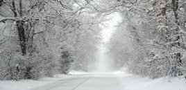 Hava kəskin dəyişir, bəzi ərazilərdə qar yağacaq - XƏBƏRDARLIQ