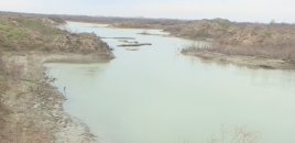 Araz çayında balıqlar kəskin azalıb - VİDEO