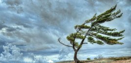 Bəzi yerlərdə külək güclənəcək - XƏBƏRDARLIQ