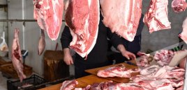 Dana əti niyə bahalaşır? - Fermerlərdən diqqətçəkən AÇIQLAMA - VİDEO