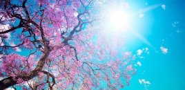 Sabah hava necə olacaq?