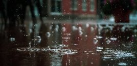 Bəzi ərazilərə yağış yağıb - FAKTİKİ HAVA