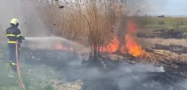 Qazaxın Daşsalahlı kəndində açıq ərazidə yanğın olub - VİDEO
