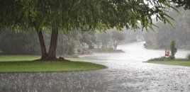 Bəzi ərazilərə yağış yağır - FAKTİKİ HAVA